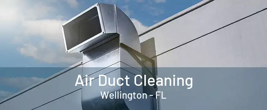 Air Duct Cleaning Wellington - FL