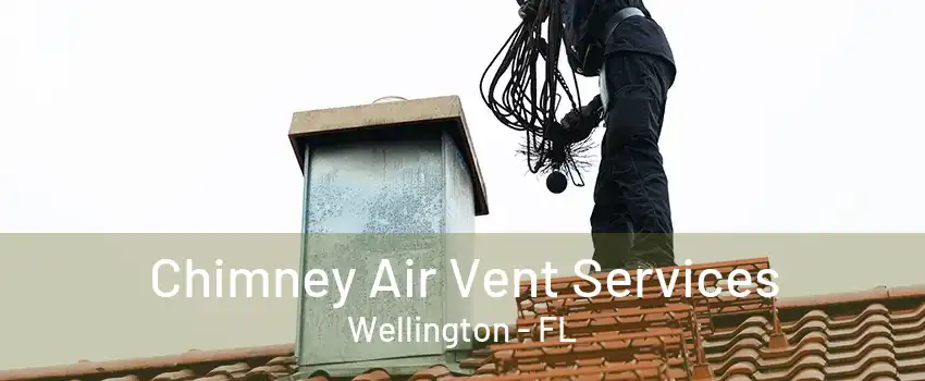 Chimney Air Vent Services Wellington - FL