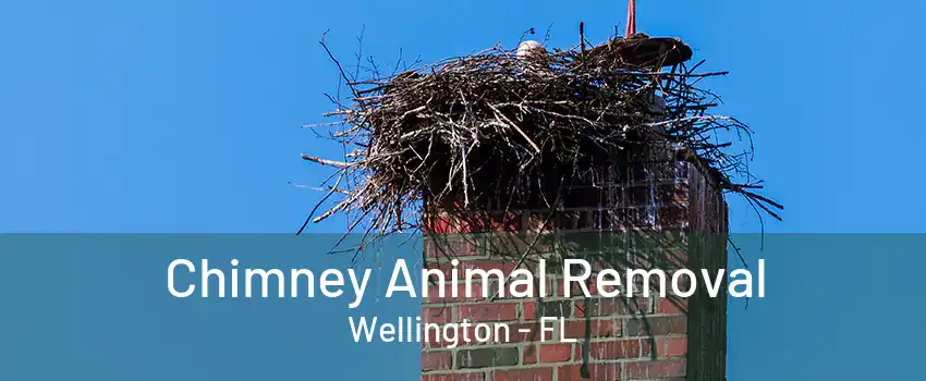 Chimney Animal Removal Wellington - FL