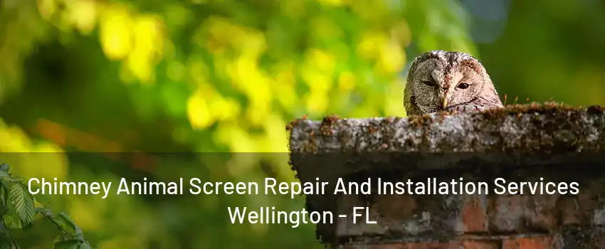 Chimney Animal Screen Repair And Installation Services Wellington - FL