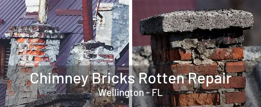 Chimney Bricks Rotten Repair Wellington - FL