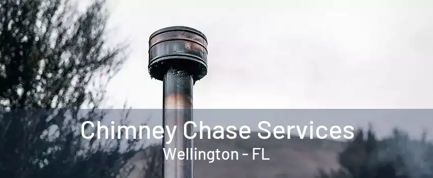 Chimney Chase Services Wellington - FL