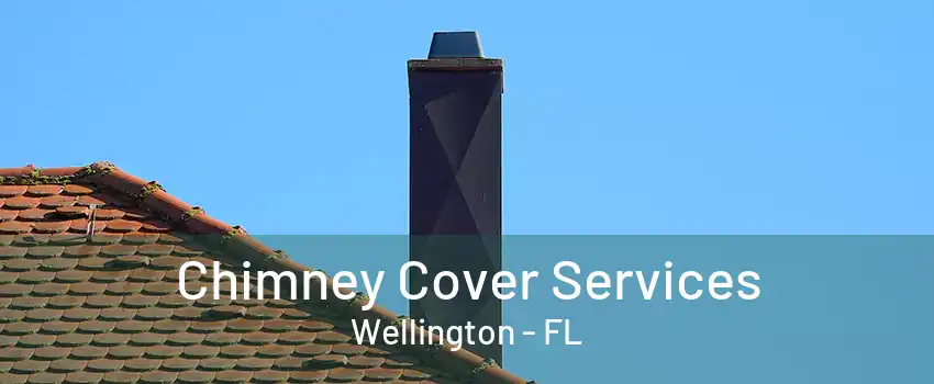 Chimney Cover Services Wellington - FL