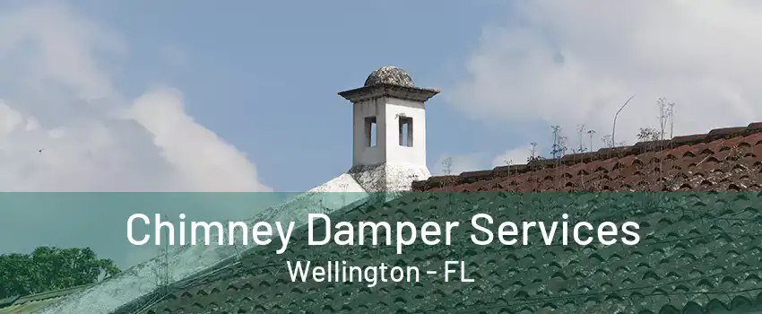 Chimney Damper Services Wellington - FL