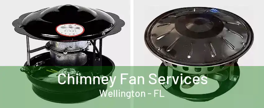 Chimney Fan Services Wellington - FL