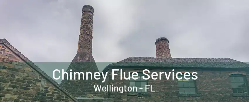 Chimney Flue Services Wellington - FL