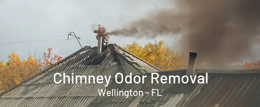 Chimney Odor Removal Wellington - FL