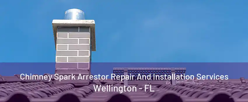 Chimney Spark Arrestor Repair And Installation Services Wellington - FL