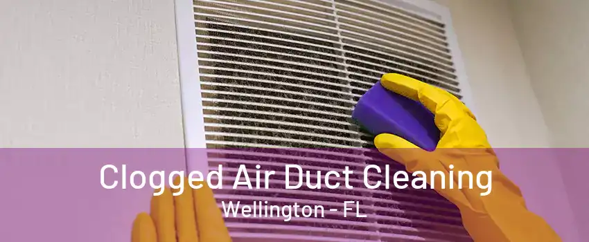 Clogged Air Duct Cleaning Wellington - FL