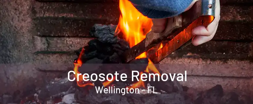 Creosote Removal Wellington - FL