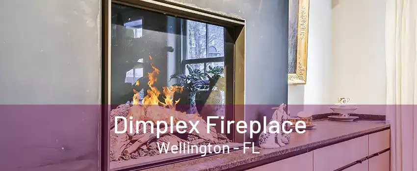 Dimplex Fireplace Wellington - FL