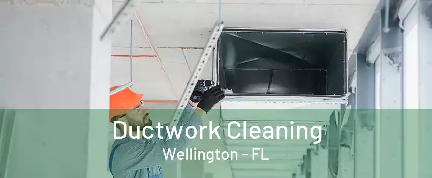 Ductwork Cleaning Wellington - FL