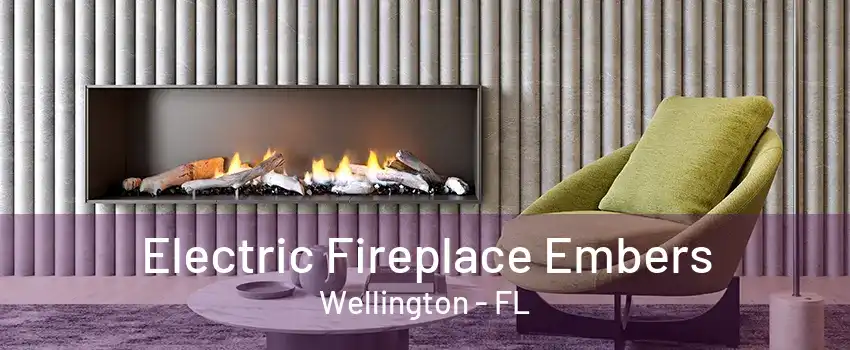 Electric Fireplace Embers Wellington - FL