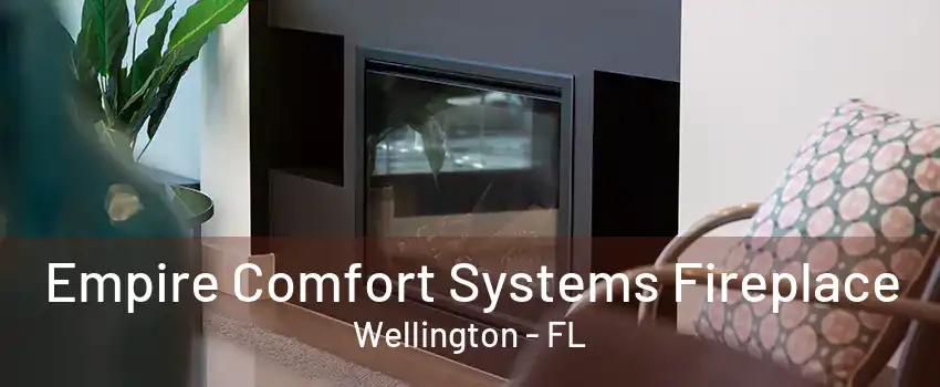 Empire Comfort Systems Fireplace Wellington - FL