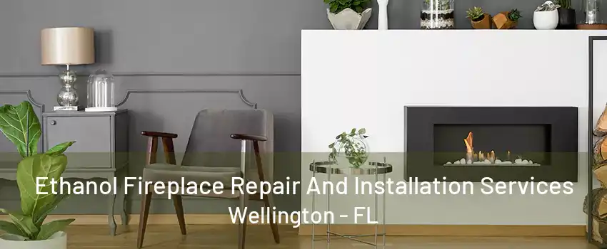 Ethanol Fireplace Repair And Installation Services Wellington - FL