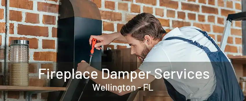 Fireplace Damper Services Wellington - FL