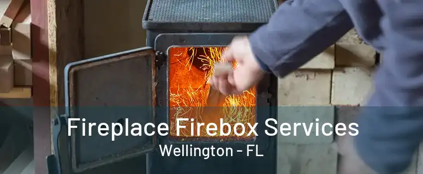 Fireplace Firebox Services Wellington - FL