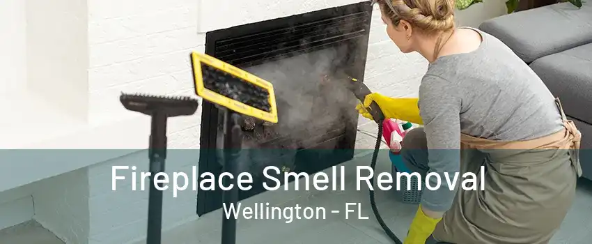 Fireplace Smell Removal Wellington - FL