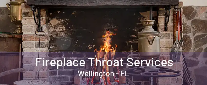 Fireplace Throat Services Wellington - FL