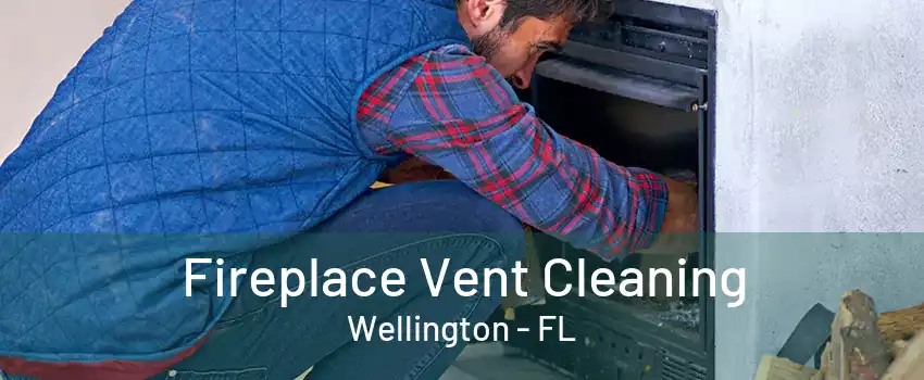 Fireplace Vent Cleaning Wellington - FL