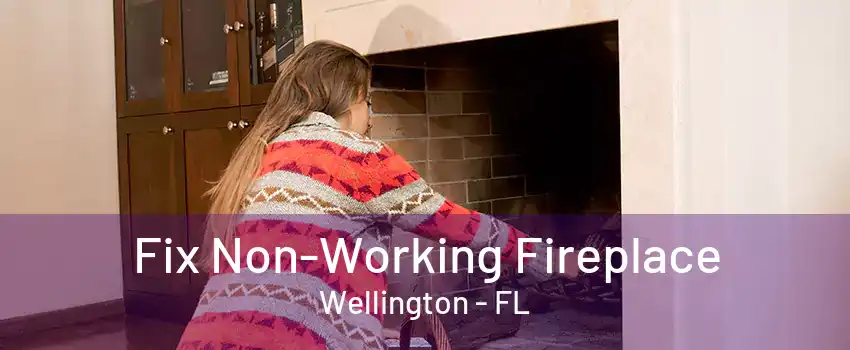 Fix Non-Working Fireplace Wellington - FL