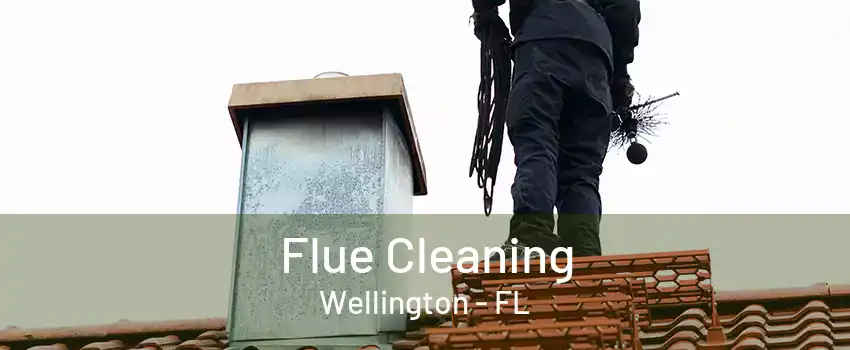 Flue Cleaning Wellington - FL