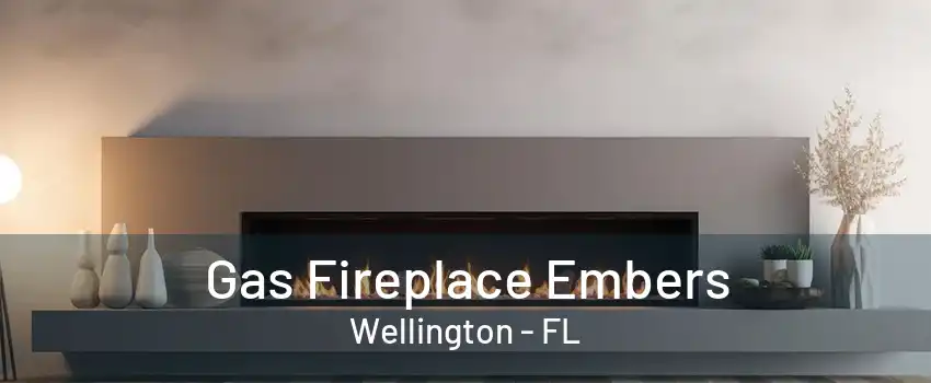 Gas Fireplace Embers Wellington - FL