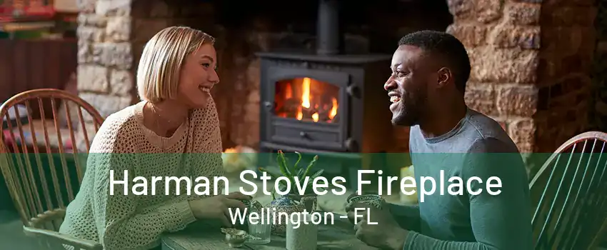 Harman Stoves Fireplace Wellington - FL