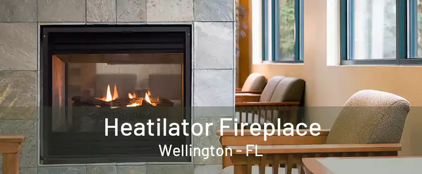 Heatilator Fireplace Wellington - FL