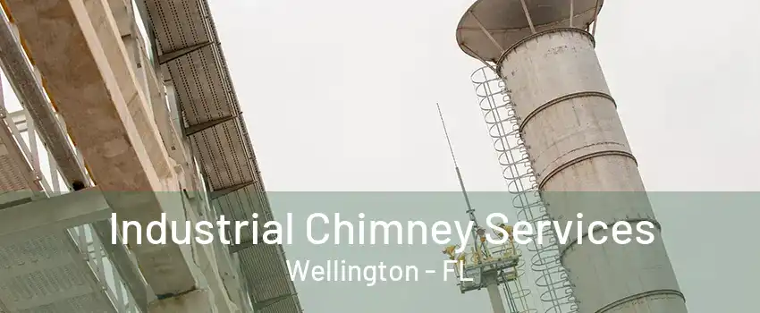 Industrial Chimney Services Wellington - FL