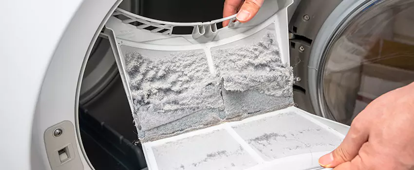 Best Dryer Lint Removal Company in Wellington, Florida