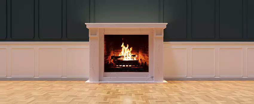 Napoleon Electric Fireplaces Inspection Service in Wellington, Florida