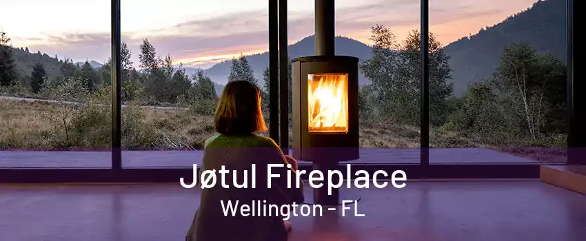 Jøtul Fireplace Wellington - FL