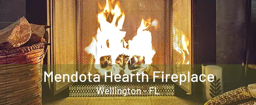 Mendota Hearth Fireplace Wellington - FL