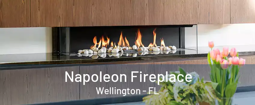 Napoleon Fireplace Wellington - FL