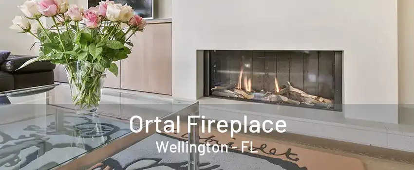 Ortal Fireplace Wellington - FL