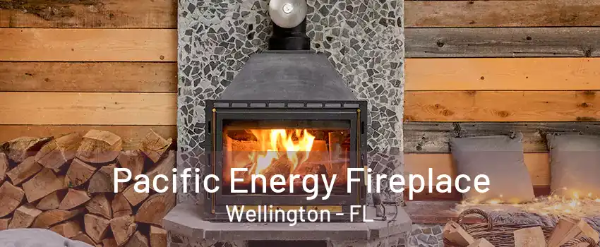 Pacific Energy Fireplace Wellington - FL