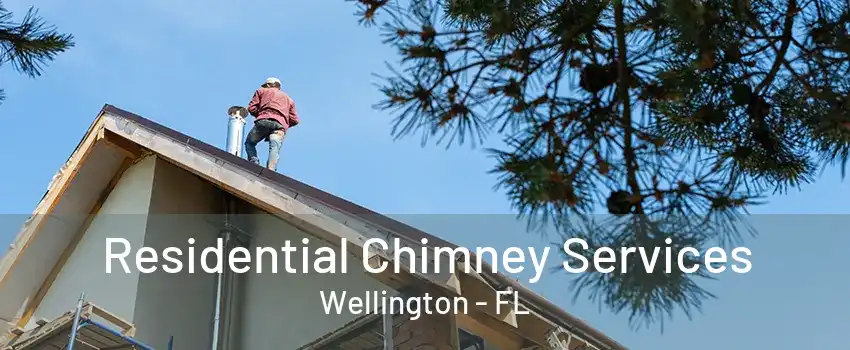 Residential Chimney Services Wellington - FL