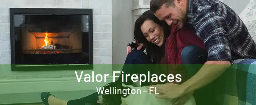 Valor Fireplaces Wellington - FL