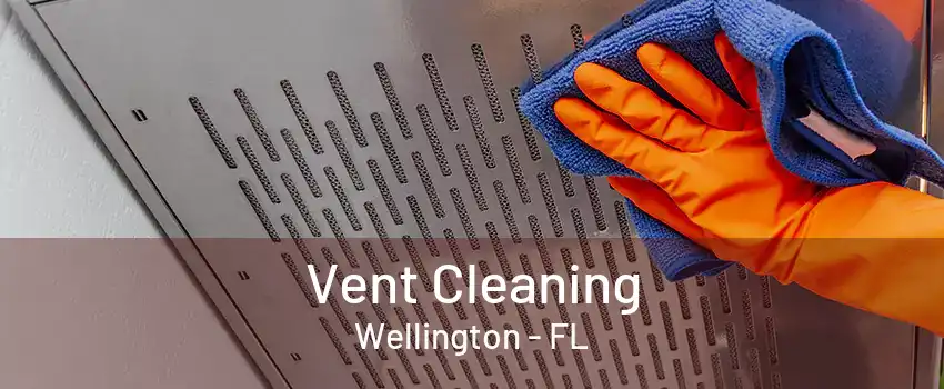 Vent Cleaning Wellington - FL