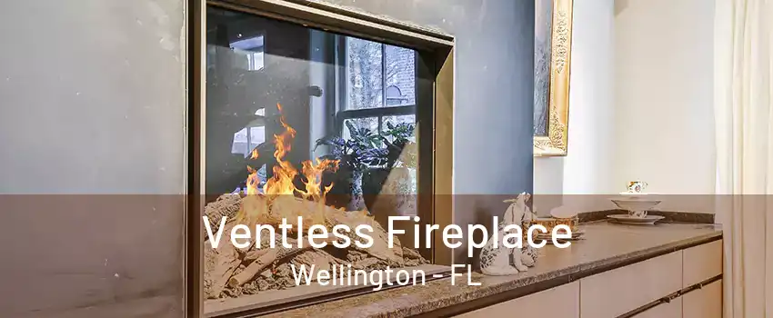 Ventless Fireplace Wellington - FL