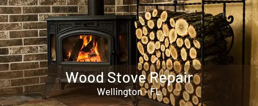 Wood Stove Repair Wellington - FL